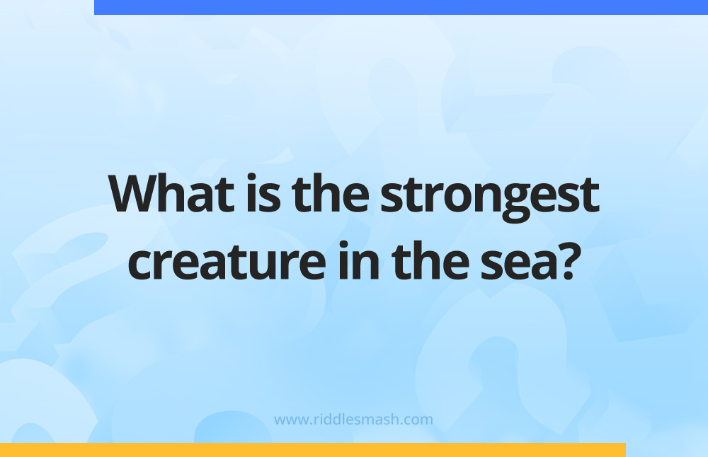 What is the strongest creature in the sea?