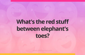 What's the red stuff between elephant's toes?