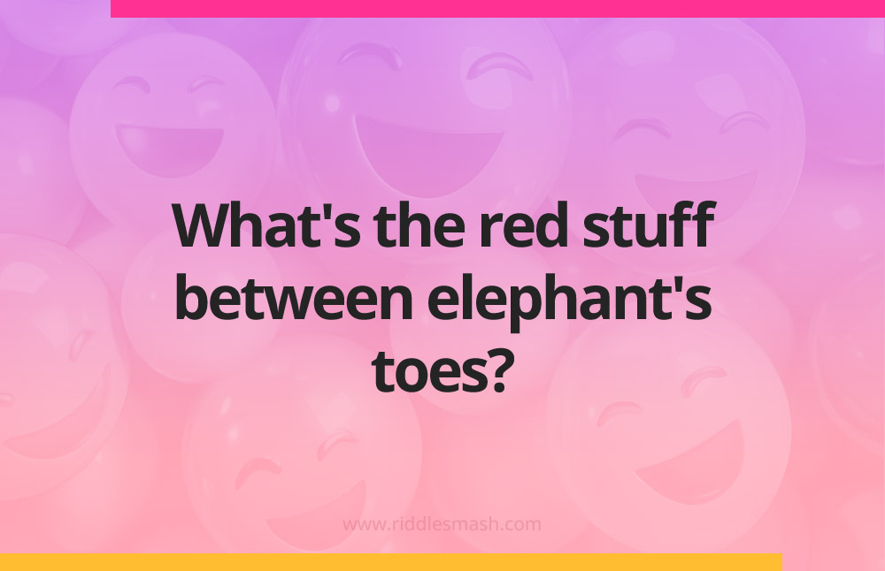What's the red stuff between elephant's toes?