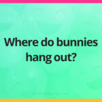 Where do bunnies hang out?