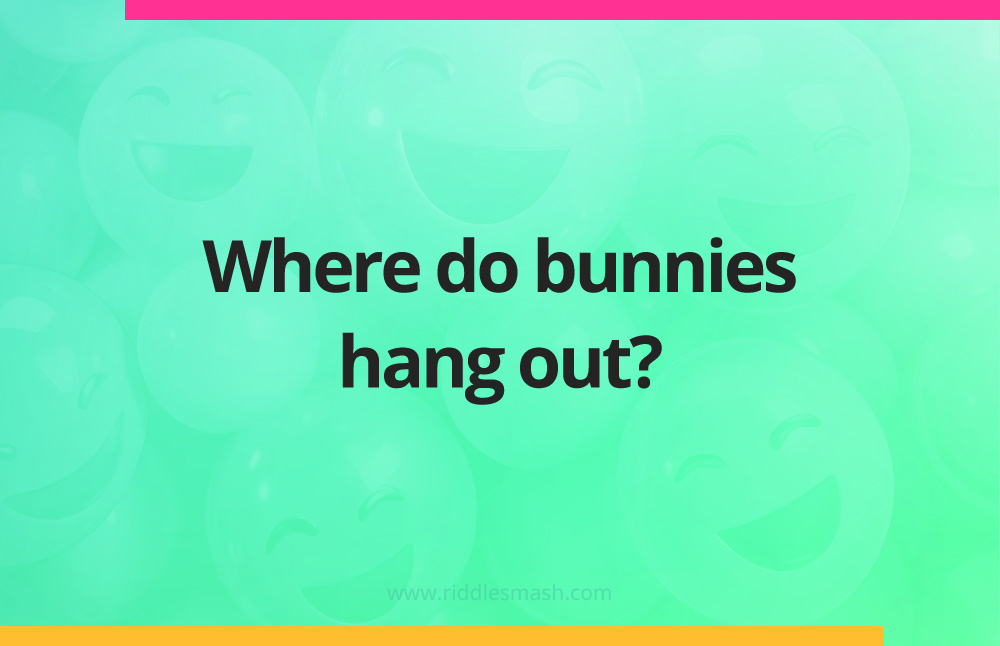 Where do bunnies hang out?