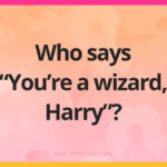 Who says “You’re a wizard, Harry”?