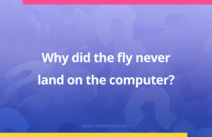 Why did the fly never land on the computer?