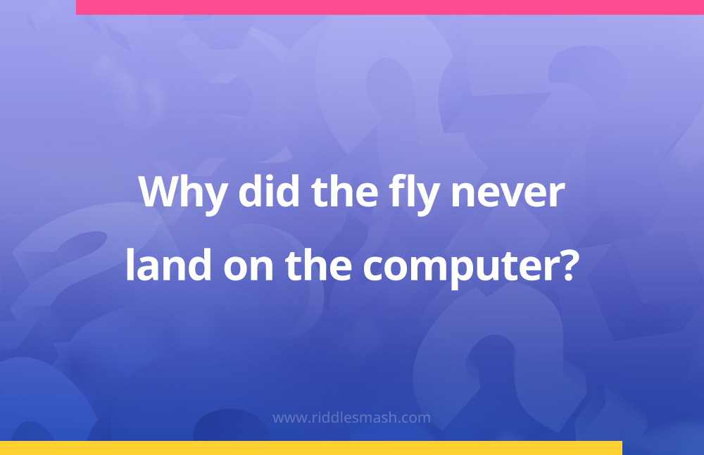 Why did the fly never land on the computer?