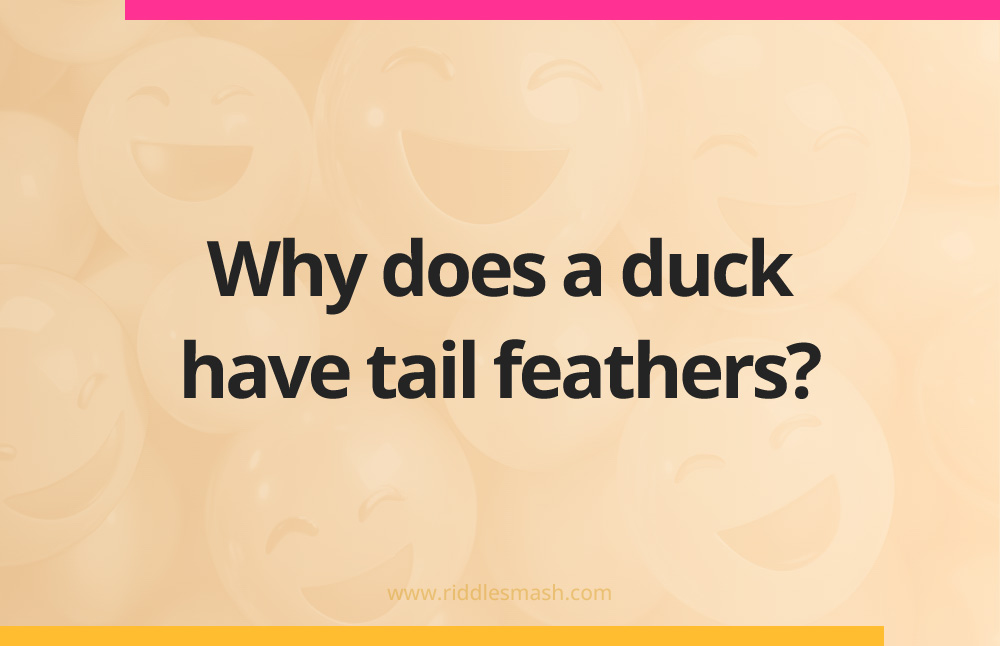Why does a duck have tail feathers?
