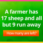 A farmer has 17 sheep and all but 9 run away. How many are left?