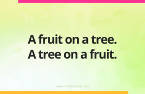 A fruit on a tree. A tree on a fruit.