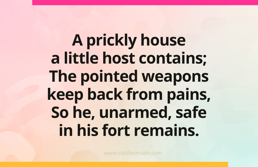 A prickly house a little host contains; The pointed weapons keep back from pains, So he, unarmed, safe in his fort remains.