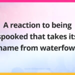 A reaction to being spooked that takes its name from waterfowl.