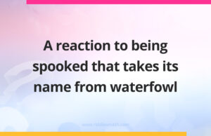 A reaction to being spooked that takes its name from waterfowl.