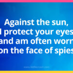 Against the sun, I protect your eyes and am often worn on the face of spies.