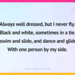 Always well dressed, but I never fly. Black and white, sometimes in a tie. I swim and slide, and dance and glide, With one person by my side.