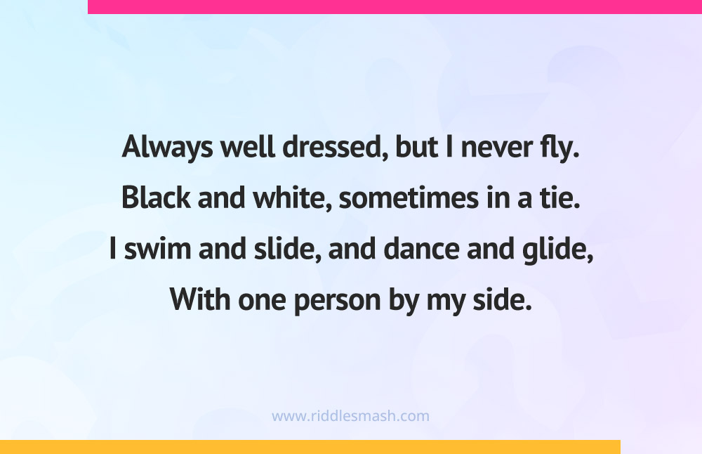 Always well dressed, but I never fly. Black and white, sometimes in a tie. I swim and slide, and dance and glide, With one person by my side.