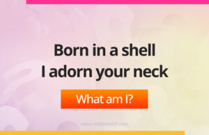 Born in a shell I adorn your neck. What am I?