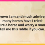 Brown I am and much admired; many horses have I tried; tire a horse and worry a man; tell me this riddle if you can.
