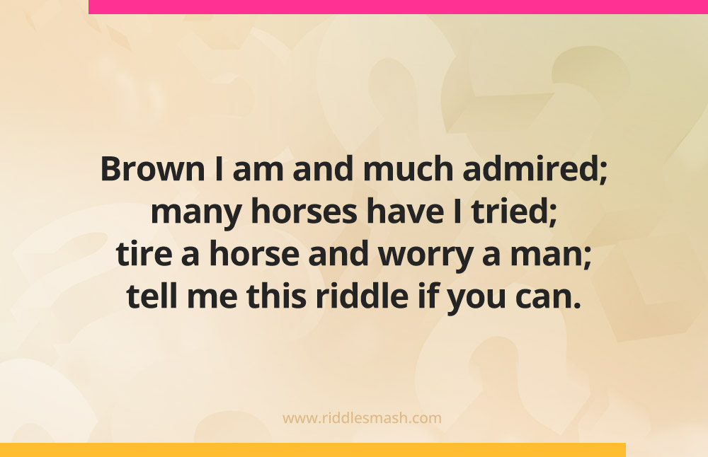 Brown I am and much admired; many horses have I tried; tire a horse and worry a man; tell me this riddle if you can.