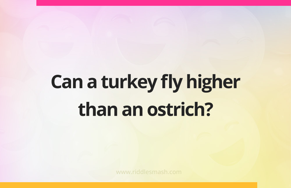 Can a turkey fly higher than an ostrich?