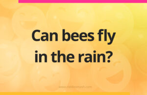 Can bees fly in the rain?