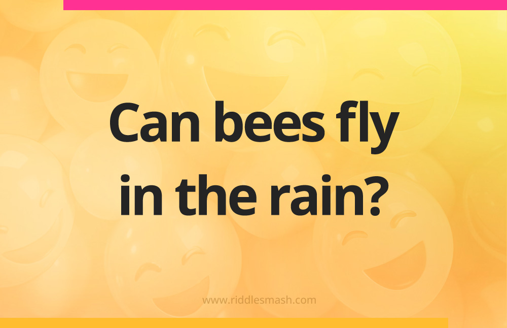 Can bees fly in the rain?