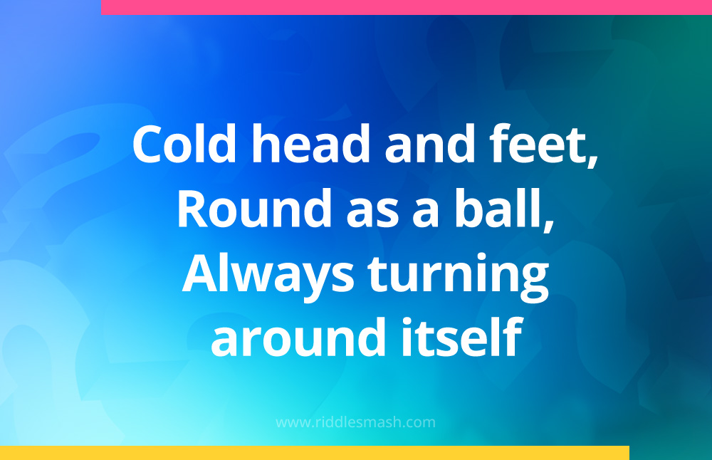 Cold head and feet, Round as a ball, Always turning around itself.
