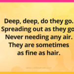 Deep, deep, do they go. Spreading out as they go. Never needing any air. They are sometimes as fine as hair.