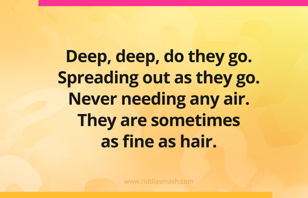 Deep, deep, do they go. Spreading out as they go. Never needing any air. They are sometimes as fine as hair.