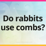 Do rabbits use combs?