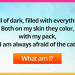 Full of dark, filled with everything, Both on my skin they color, with my pack, I am always afraid of the cat.