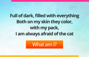 Full of dark, filled with everything, Both on my skin they color, with my pack, I am always afraid of the cat.