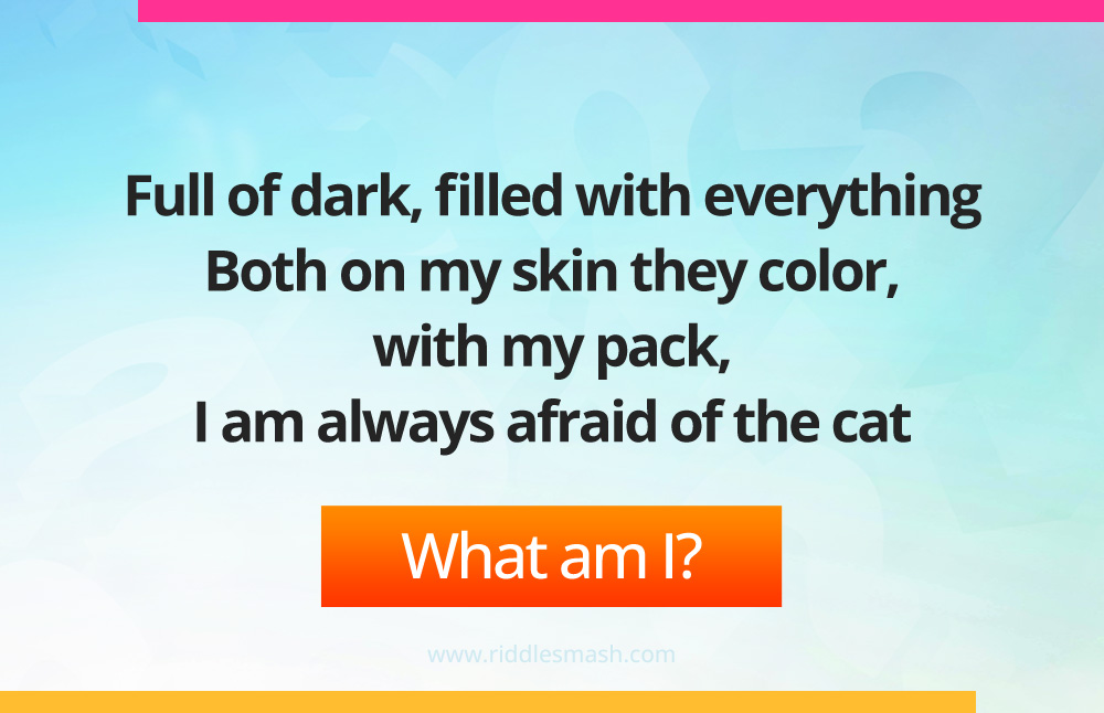 Full of dark, filled with everything, Both on my skin they color, with my pack, I am always afraid of the cat.