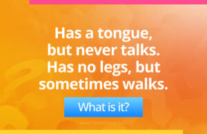 Has a tongue, but never talks. Has no legs, but sometimes walks.