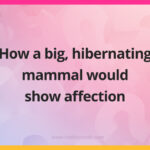 How a big, hibernating mammal would show affection.