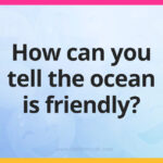 How can you tell the ocean is friendly?