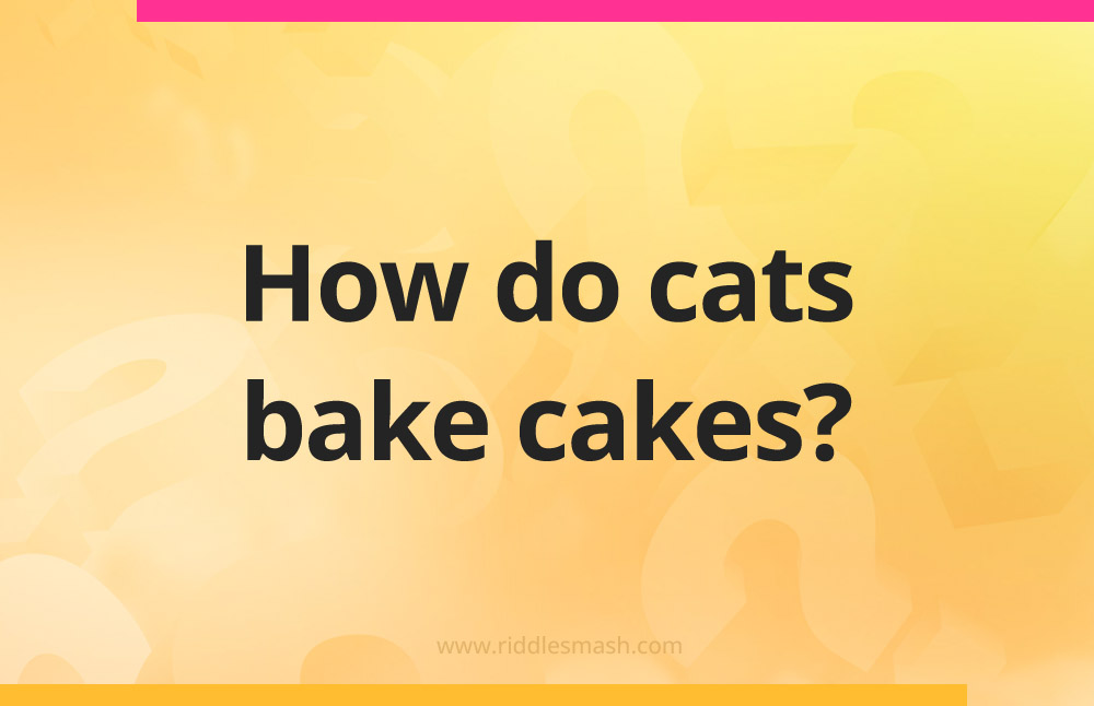 How do cats bake cakes?