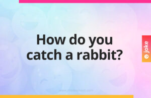 How do you catch a rabbit?
