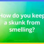 How do you keep a skunk from smelling?