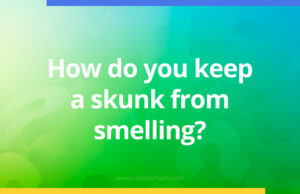 How do you keep a skunk from smelling?