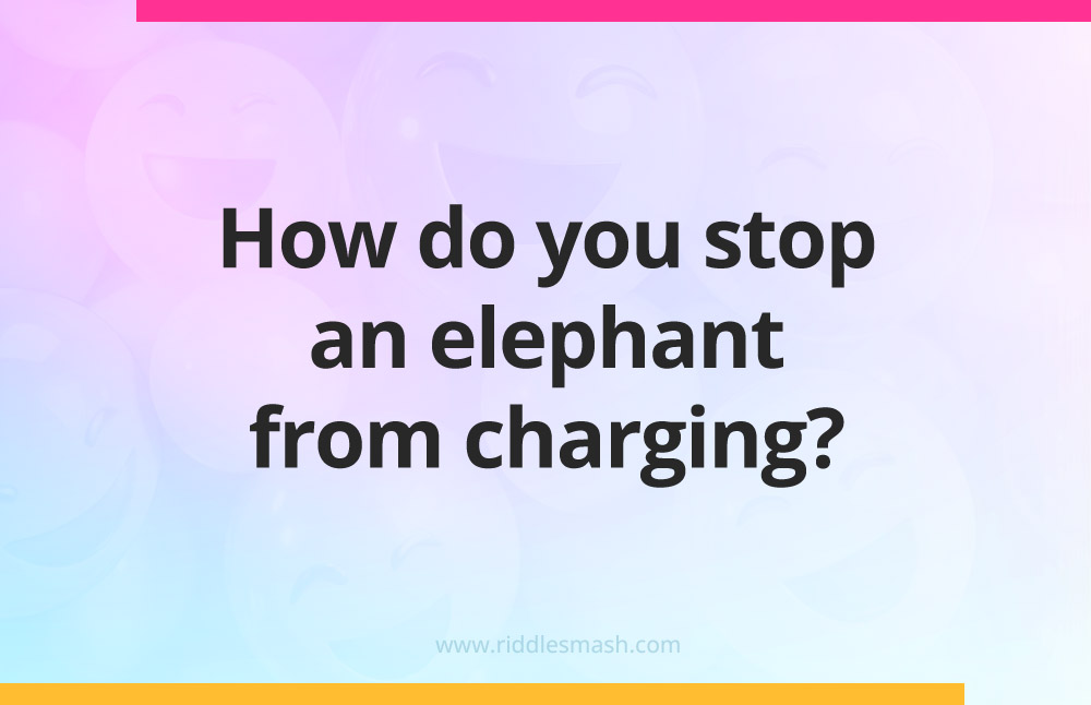 How do you stop an elephant from charging?