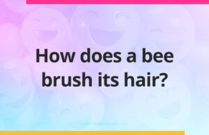 How does a bee brush its hair?