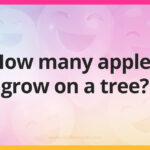 How many apples grow on a tree?