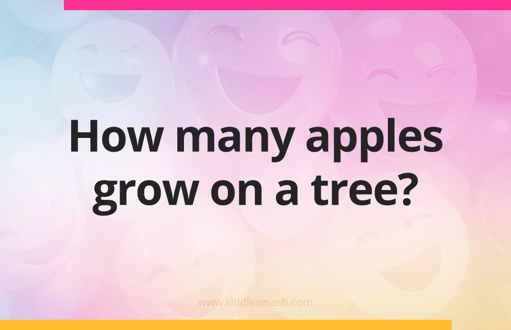How many apples grow on a tree?