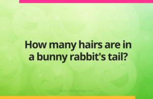 How many hairs are in a bunny rabbit's tail?