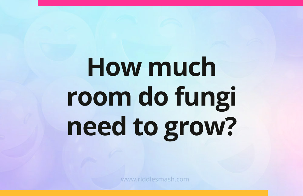 How much room do fungi need to grow?