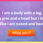 I am a body with a leg, an arm and a head but I look like I am naked and bare. What am I?