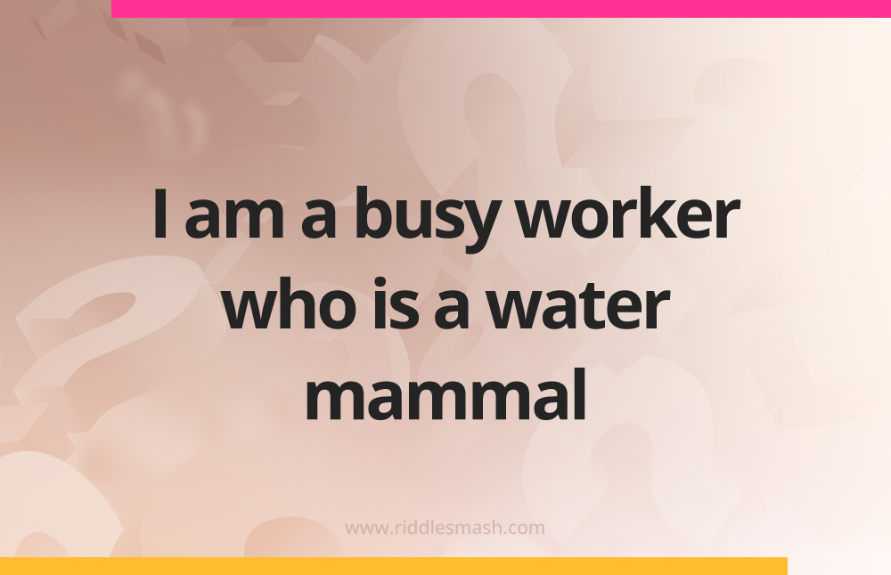 I am a busy worker who is a water mammal.