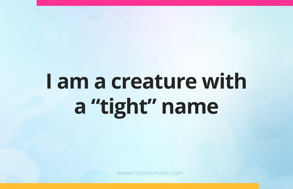 I am a creature with a "tight" name.