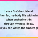 I am a fire's best friend. When fat, my body fills with wind. When pushed to thin, through my nose I blow. Then you can watch the embers glow. What am I?