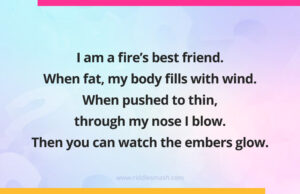 I am a fire's best friend. When fat, my body fills with wind. When pushed to thin, through my nose I blow. Then you can watch the embers glow. What am I?