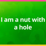 I am a nut with a hole.