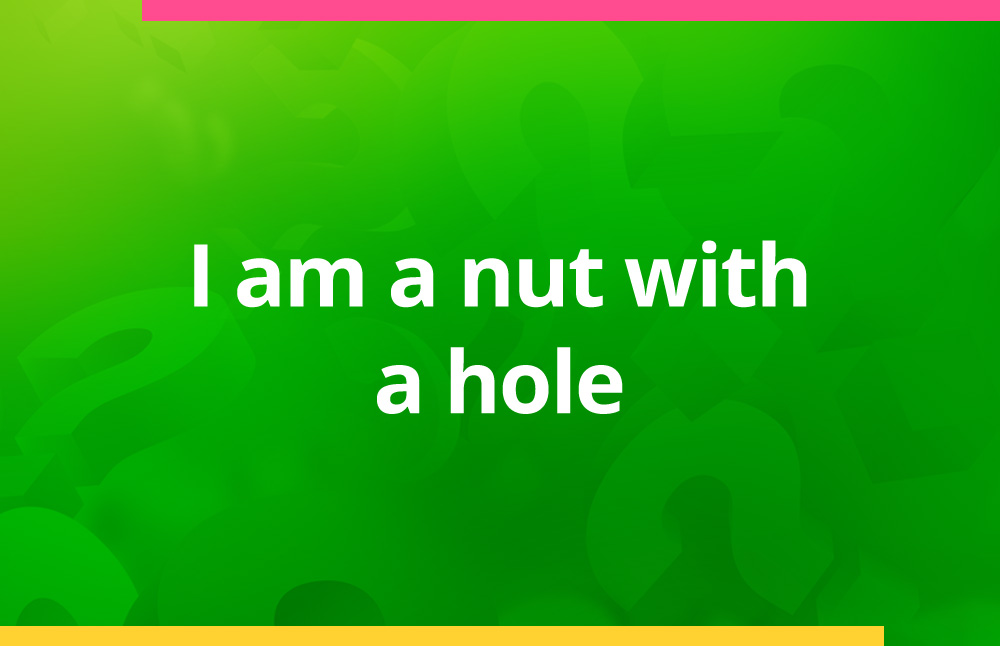 I am a nut with a hole.